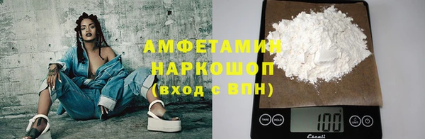 шишки Пересвет