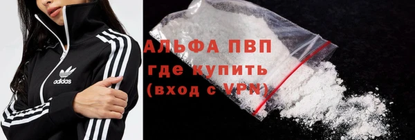 шишки Пересвет