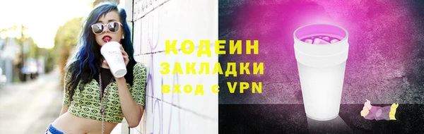 шишки Пересвет