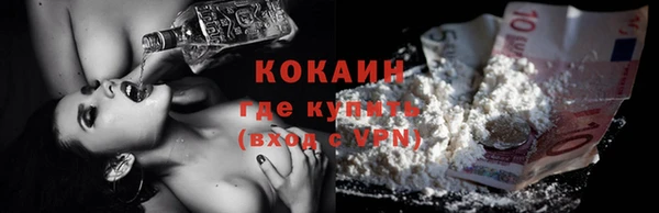 шишки Пересвет
