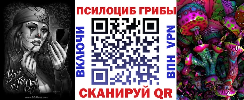 Псилоцибиновые грибы Magic Shrooms  Губкинский 