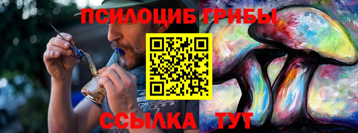 Губкинский  Псилоцибиновые грибы MAGIC MUSHROOMS  Вход с VPN 